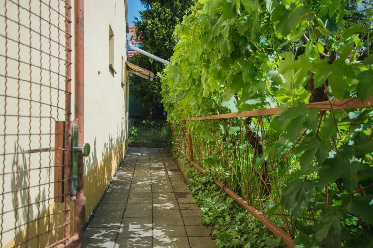 Ubytování Domeček v Mikulově Exterior foto
